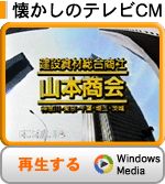 �������̃e���rCM